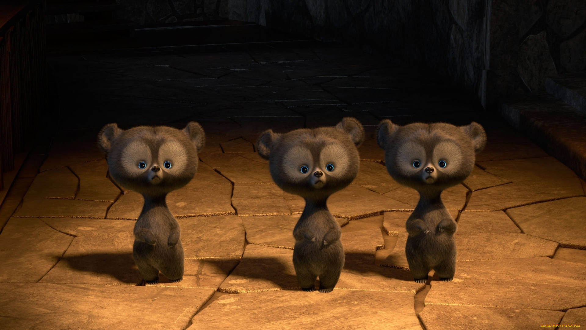 3 ,  , animals, , 